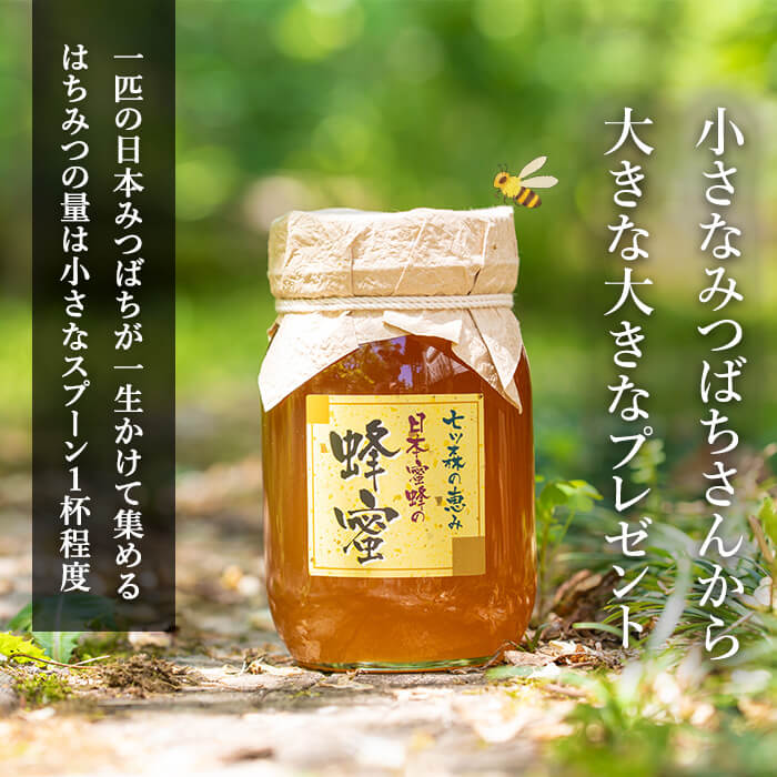 楽天市場】【ふるさと納税】七ツ森の恵 日本ミツバチのはちみつ 600g