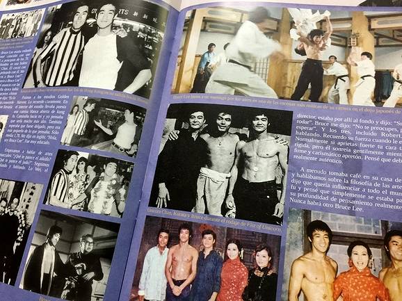 BRUCE LEE MANIA 15 ブルース・リーマニア15 ヨーロッパ同人誌