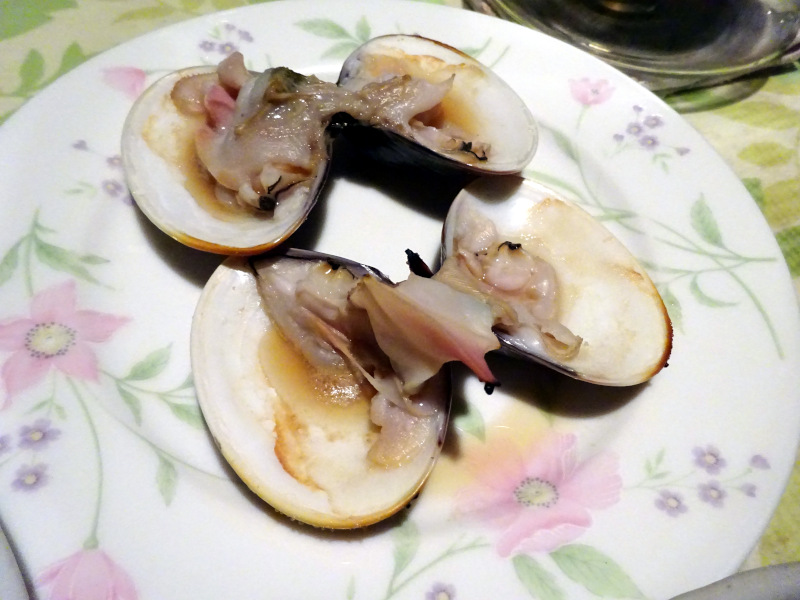 ハマグリ（真蛤）【かぎけんWEB】