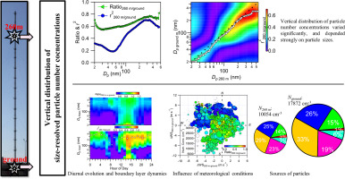 Insights into vertical differences of particle number size