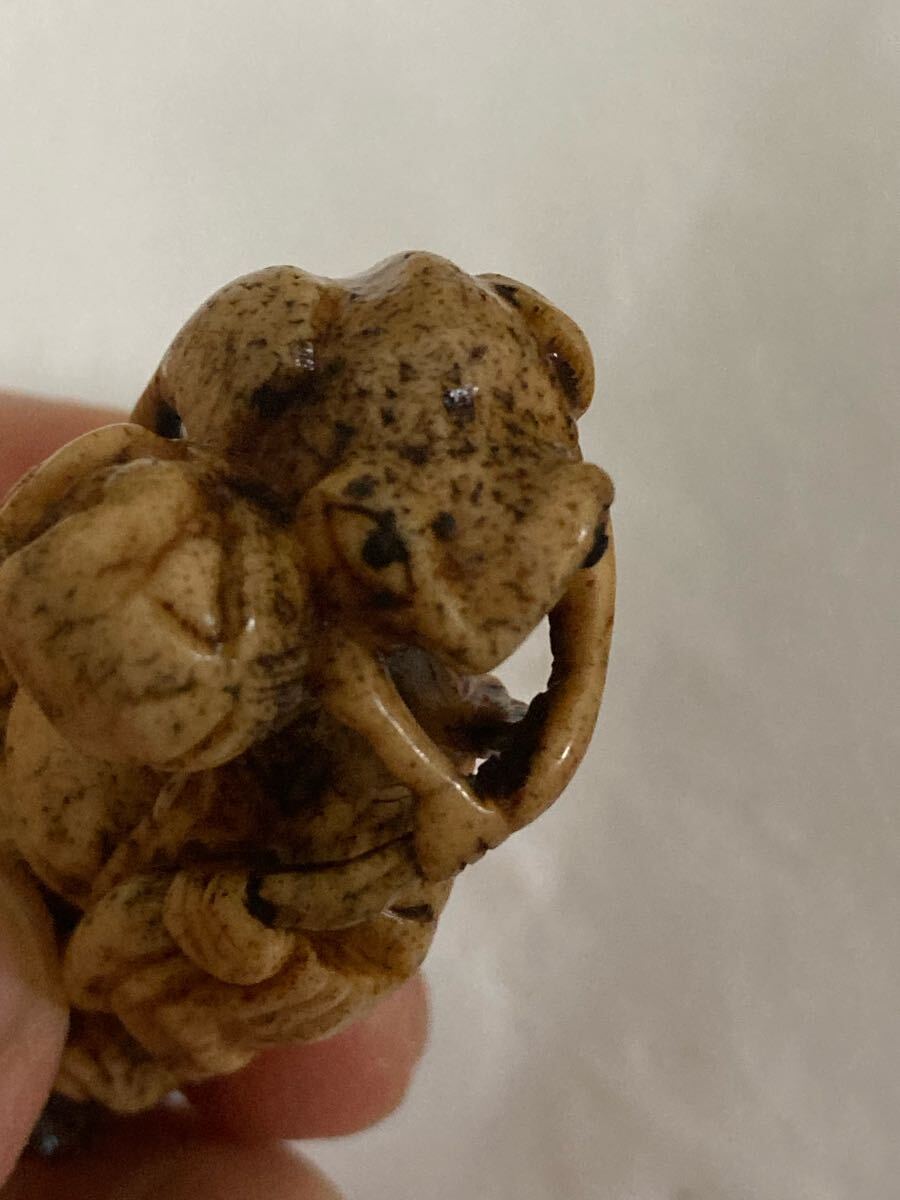 江戸期 提げ物 鹿角 蝦蟇仙人 古根付 高さ6.5cm - thecreativo.com