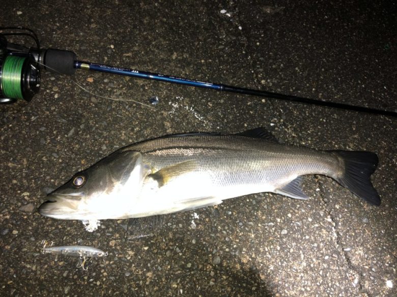 ヤマガブランクス ブルーカレントⅢ69を実釣インプレ。操作感と