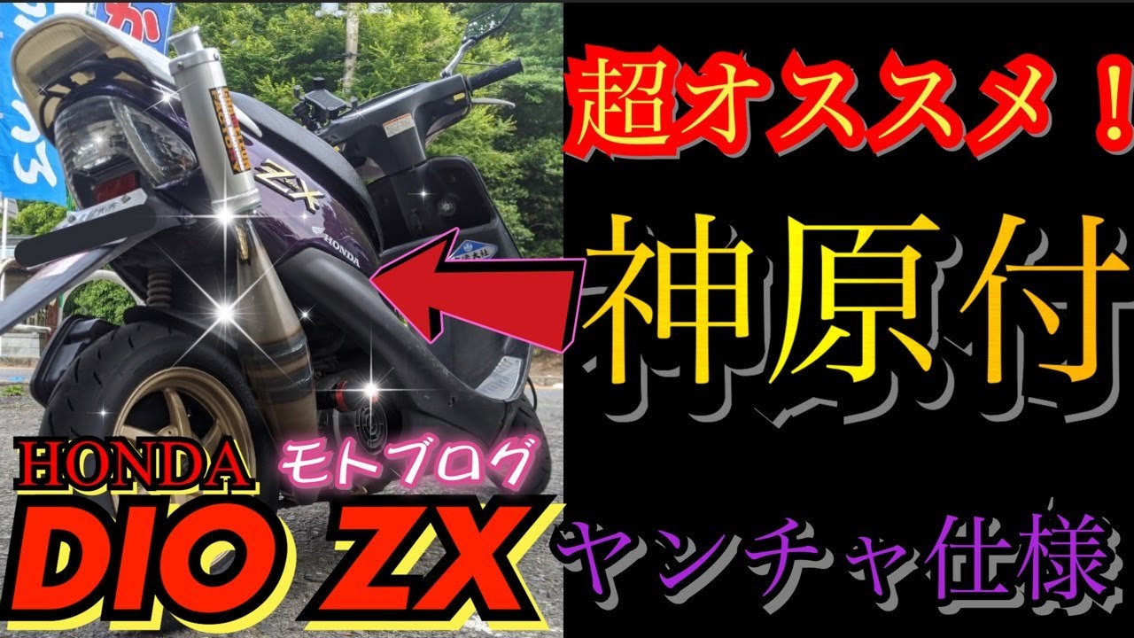 Highly recommended [DIO ZX] The naughty version was too godly lol