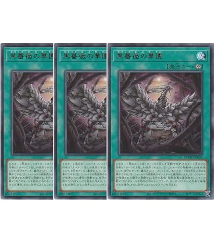 Amazon.co.jp: 遊戯王 CSOC-JP039-HG 《ブラック・ローズ・ドラゴン