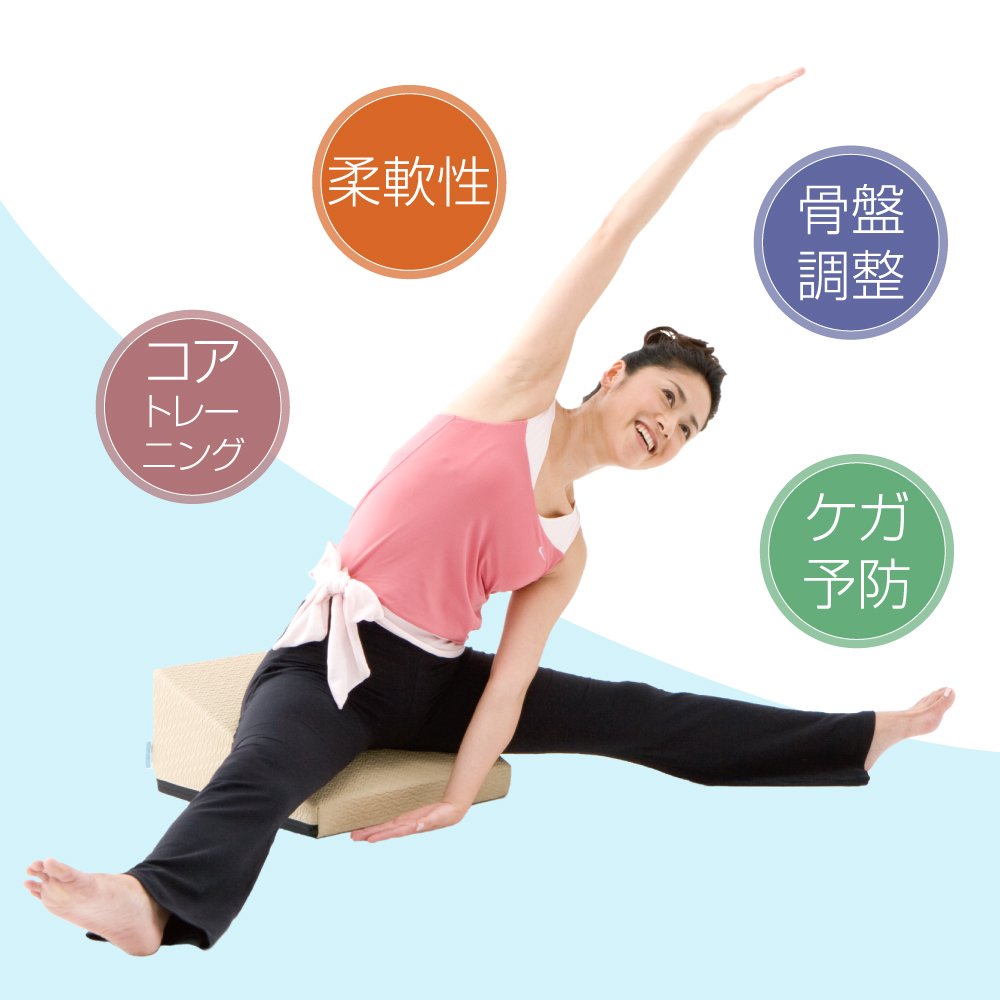 Amazon.co.jp: サンテプラス フレックスクッション(本体のみ) ブラック