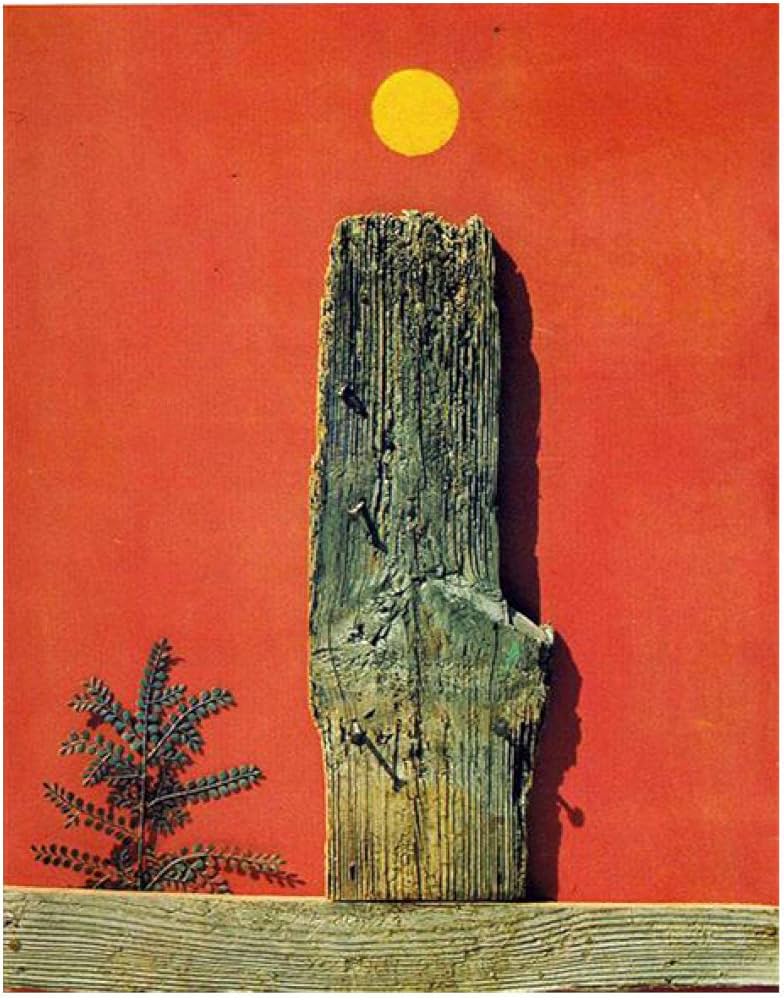 Amazon.co.jp: Max Ernst マックス・エルンストの絵画、シュル