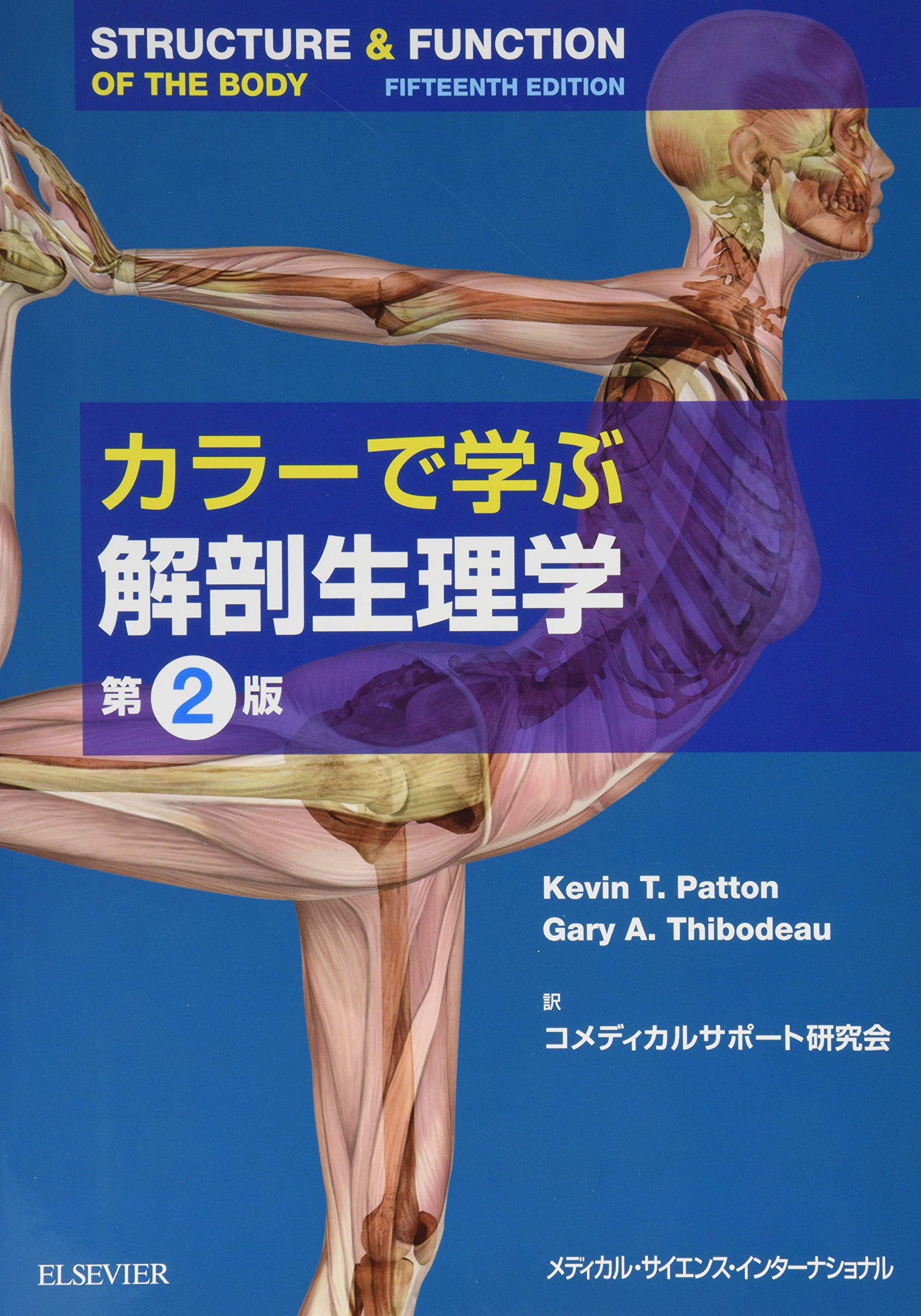 カラーで学ぶ解剖生理学 第2版 | コメディカルサポート研究会, 晝間 恵