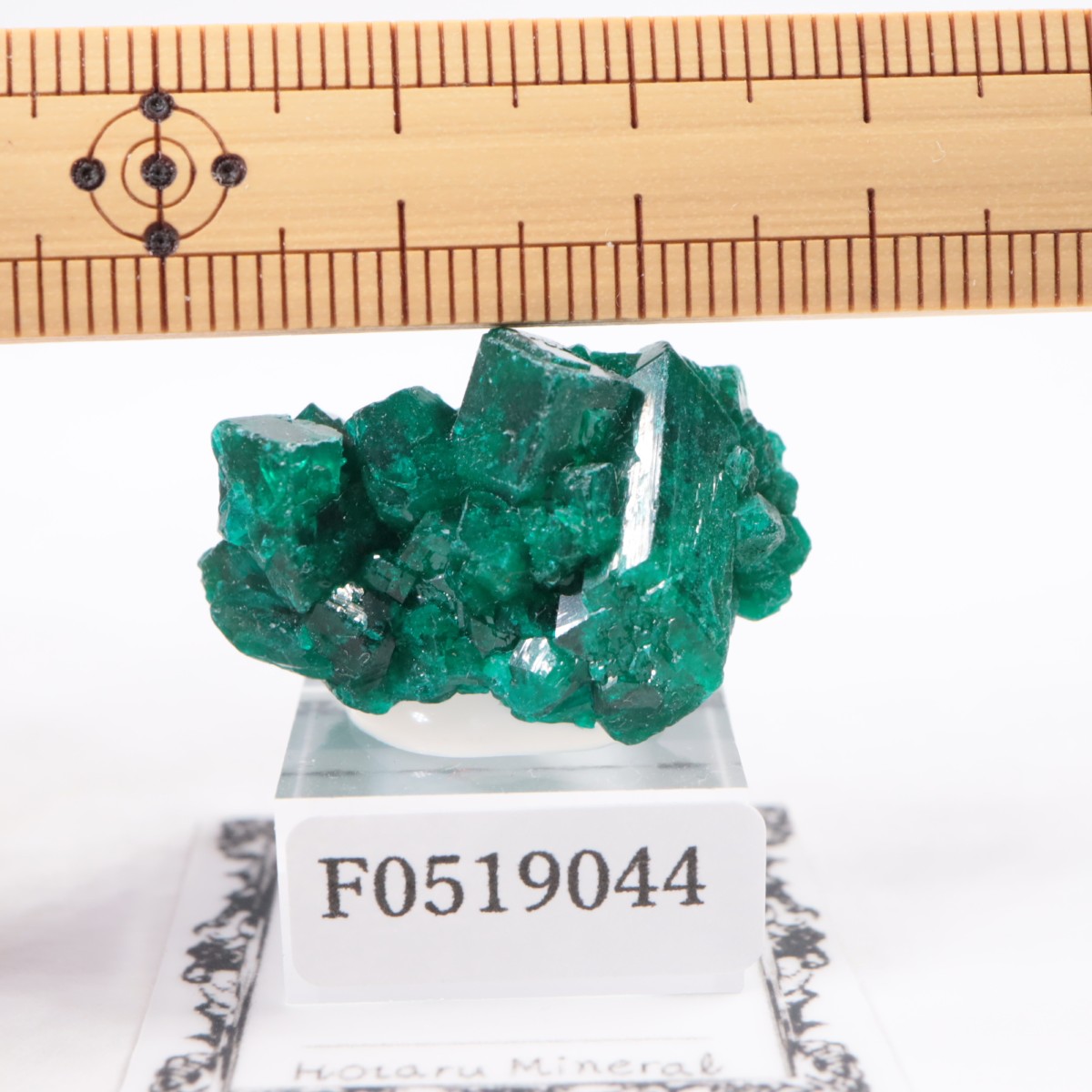 コンゴ産 ダイオプテーズ | 鉱物標本,タ行,ダイオプテーズ/翠銅鉱