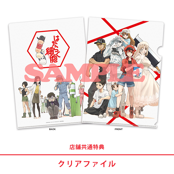 はたらく細胞 Blu-ray Disc BOX