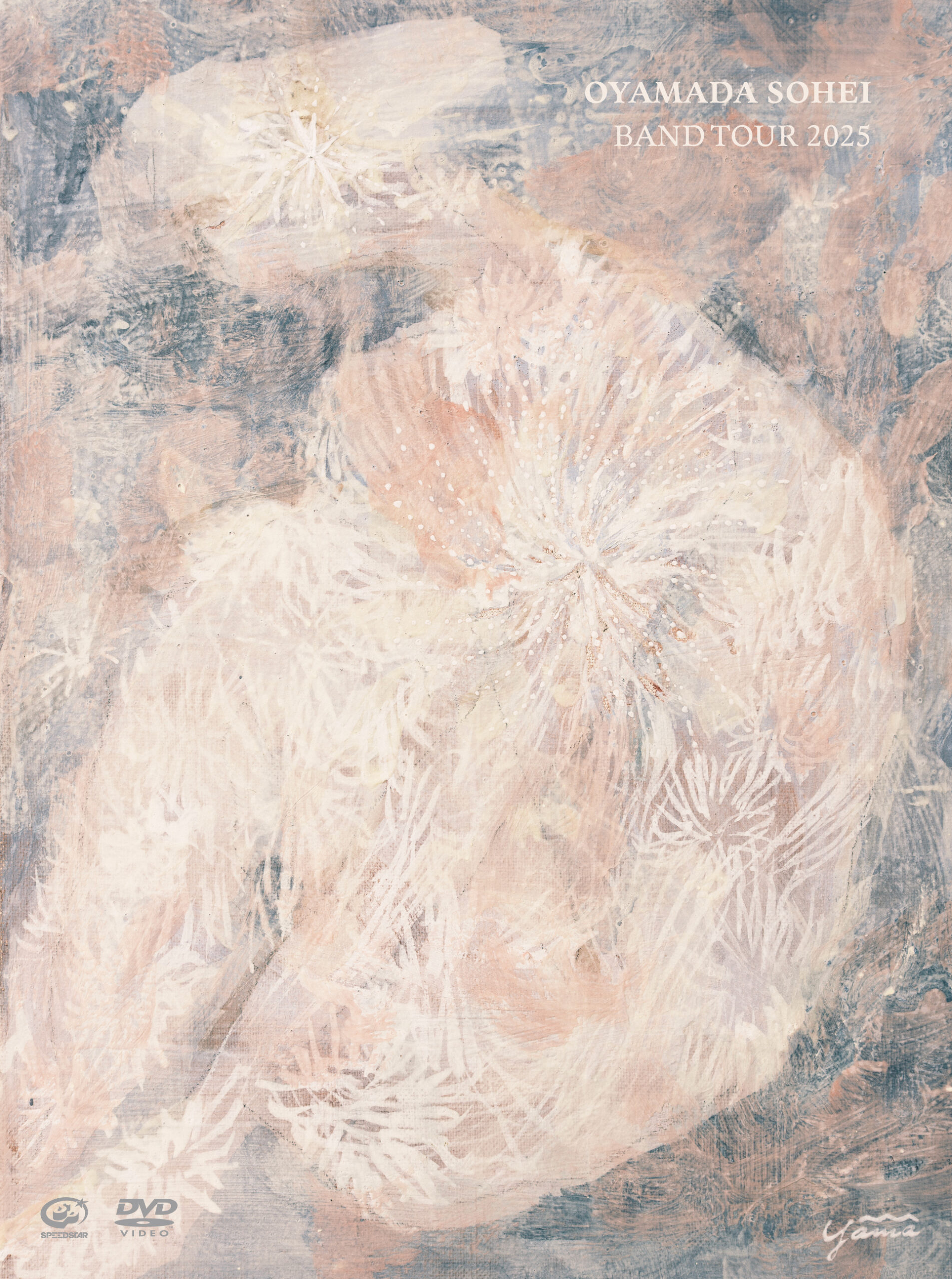 DISCOGRAPHY | 小山田壮平オフィシャルサイト