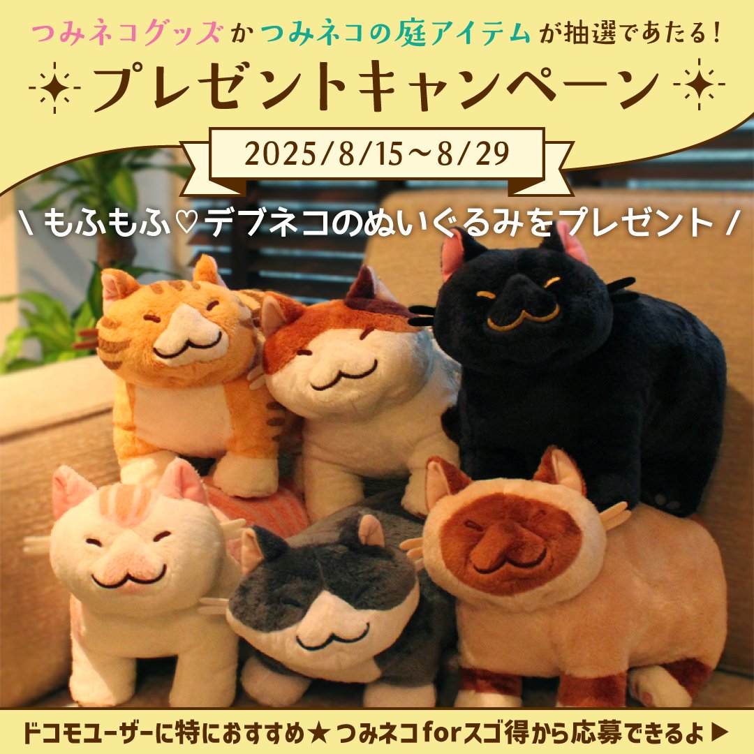 つみネコ公式 (@tsumineko_now) / Posts / X