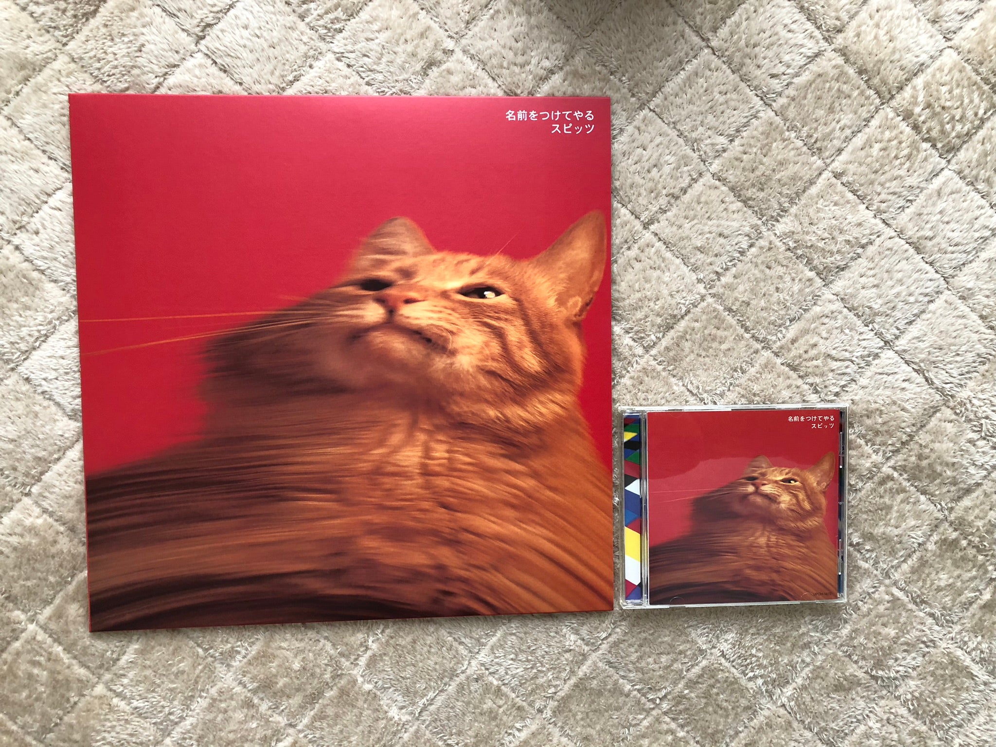 アナログ盤『名前をつけてやる』 | 「とげまるな日々」