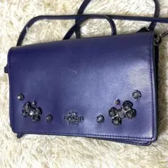 2026年最新】コーチ ティーローズ バッグの人気アイテム - メルカリ