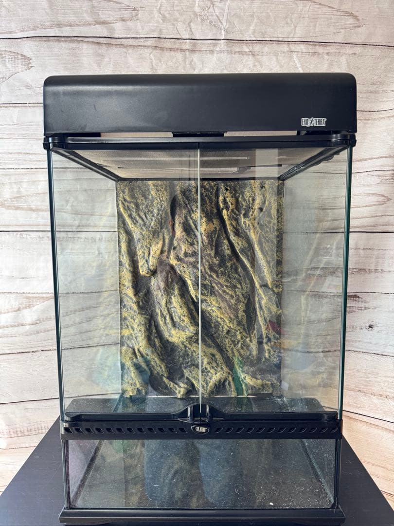 （送料込み）GEX エキゾテラ グラステラリウム 4560 ＋ コンパクトトップ スクリーンテラリウム4560 GEX EXOTERRA メッシュケージ 販売 通販