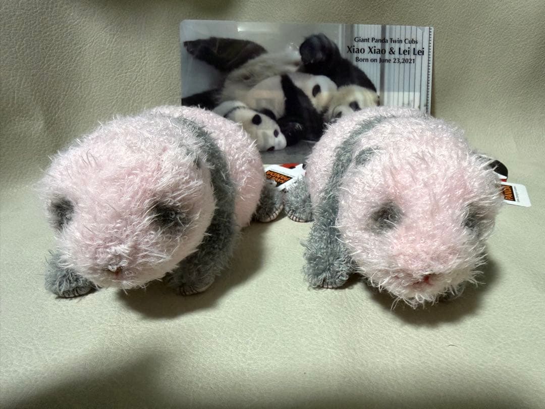 い*ご様 シャオシャオ＆レイレイ ぬいぐるみ　クリアファイル　3点セット い*ご様 シャオシャオ＆レイレイ ぬいぐるみ クリアファイル 3点セット