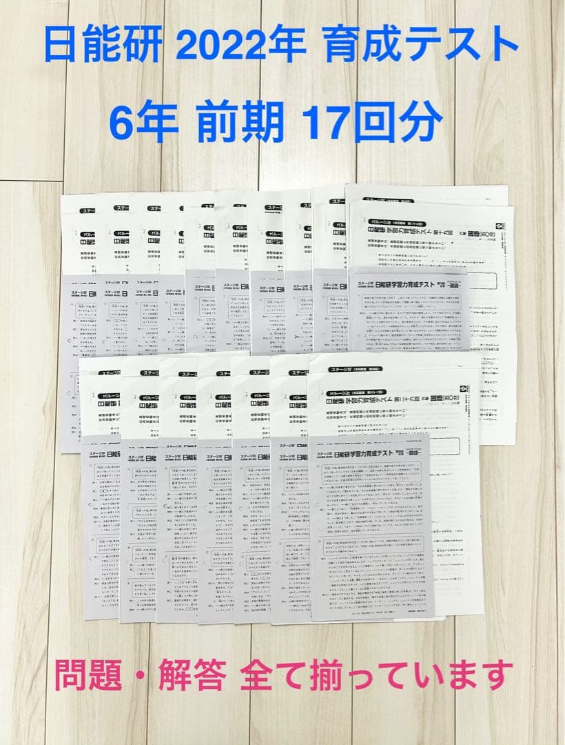 日能研 育成テスト★小6【2022年度 前期】欠品なし★6年生 2025年度 日能研6年 学習力育成テスト 前期17回分 - メルカリ