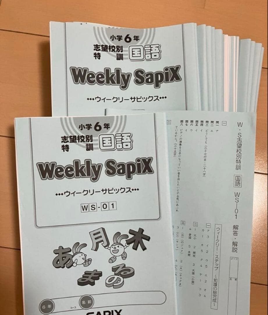 小6 国語 デイリーサピックス 24回分+春期講習•夏期講習 ウィークリー