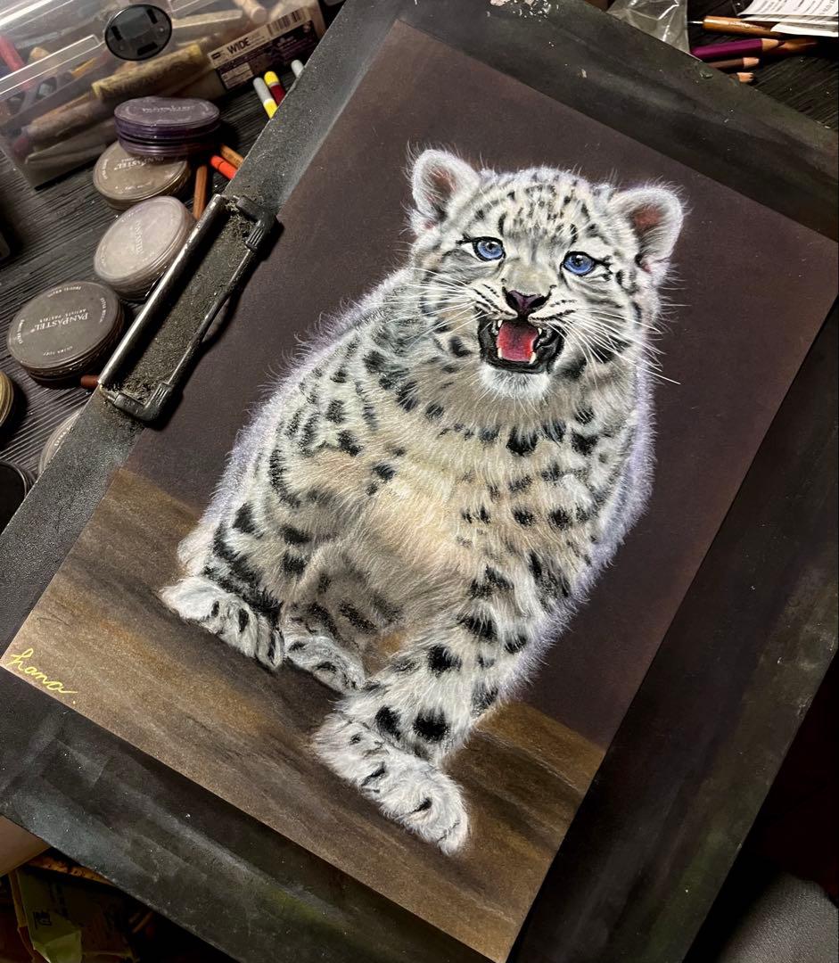 ぼくはユキヒョウ！ 色鉛筆画 - メルカリ