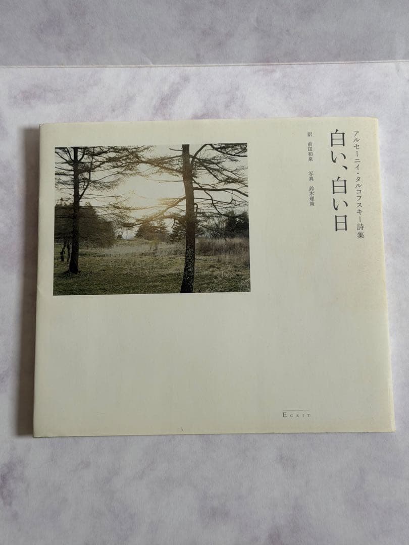 白い、白い日 アルセーニイ・タルコフスキー詩集｜静かでやさしい時間 81VH+XGZerL.jpg_BO30,255,255,