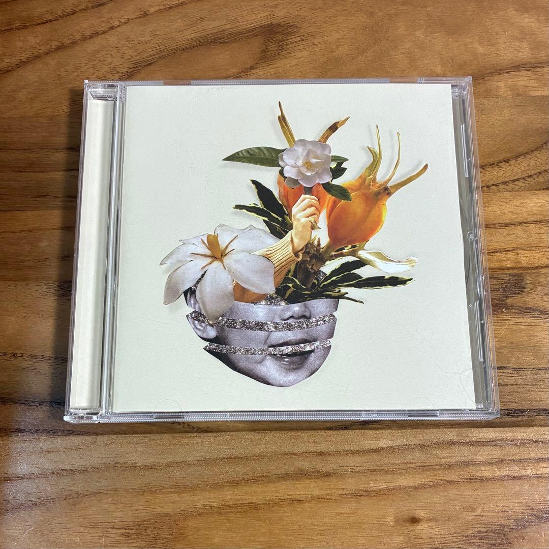 KOHH / 梔子 クチナシ くちなし 庭木苗：くちなし*（梔子）クチナシ ゴールドメダル 黄花クチナシ 黄花