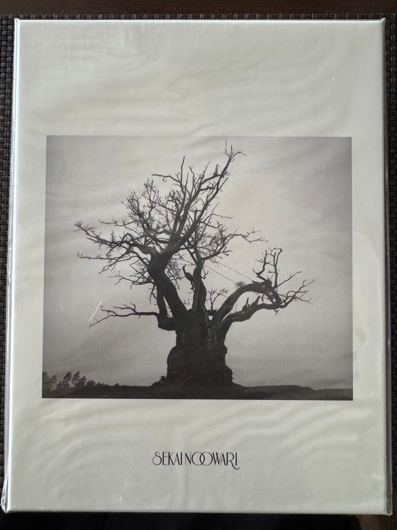 邦楽 SEKAI NO OWARI 2010-2019 CD + DVD SEKAI NO OWARI 2010-2019 LIVE BEST DVD付き 初回限定盤（2CD+DVD